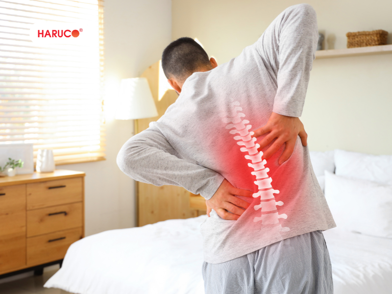 dai-lung-da-nong-haruco