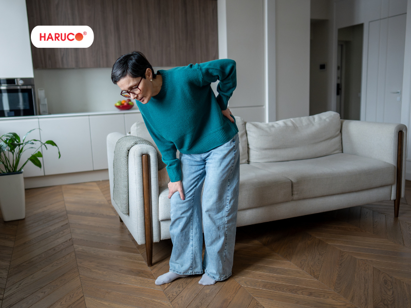 dai-lung-da-nong-haruco