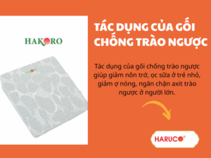 goi-chong-trao-nguoc-hakoro