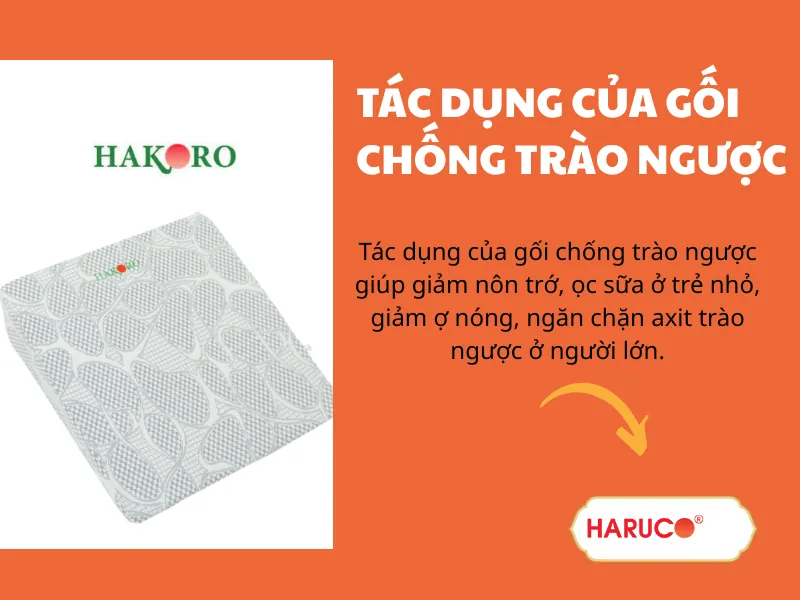 goi-chong-trao-nguoc-hakoro