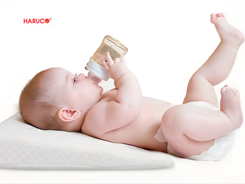 goi-chong-trao-nguoc