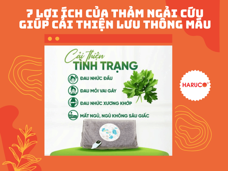 7 lợi ích của thảm ngải cứu giúp cải thiện lưu thông máu