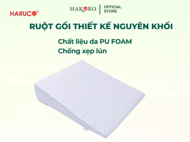 goi-chong-trao-nguoc-hakoro