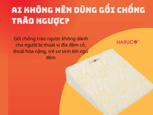 goi-chong-trao-nguoc-hakoro