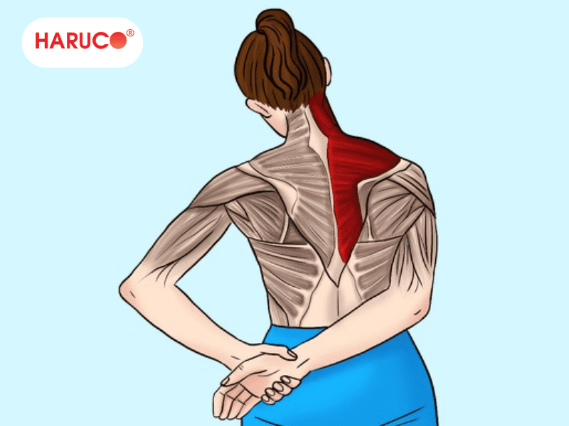 goi-massage-co-vai-gay