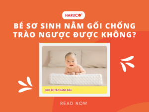 goi-chong-trao-nguoc