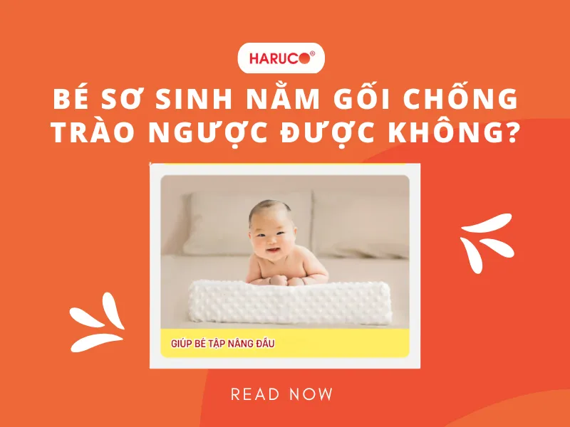 goi-chong-trao-nguoc