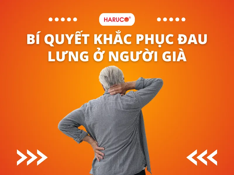 dai-lung-da-nong-haruco