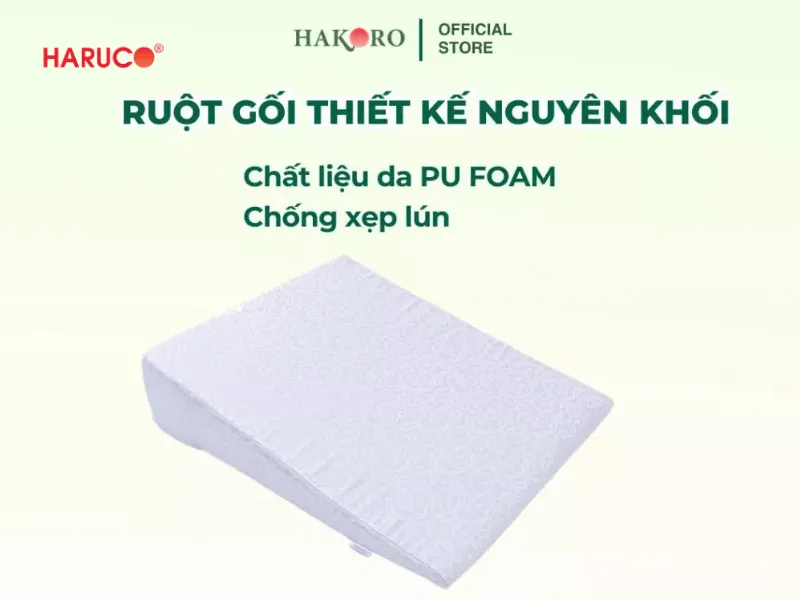 goi-chong-trao-nguoc-hakoro