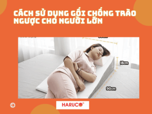 goi-chong-trao-nguoc-hakoro