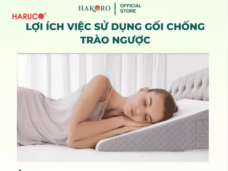 goi-chong-trao-nguoc-hakoro