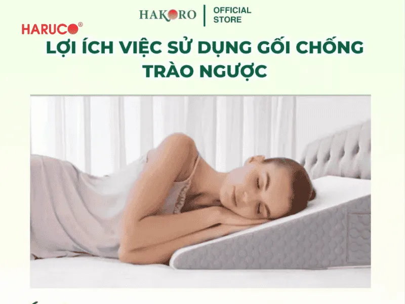 goi-chong-trao-nguoc-hakoro