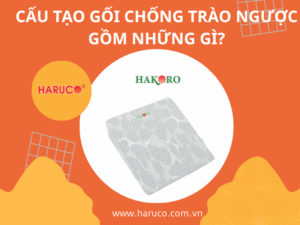 goi-chong-trao-nguoc-hakoro