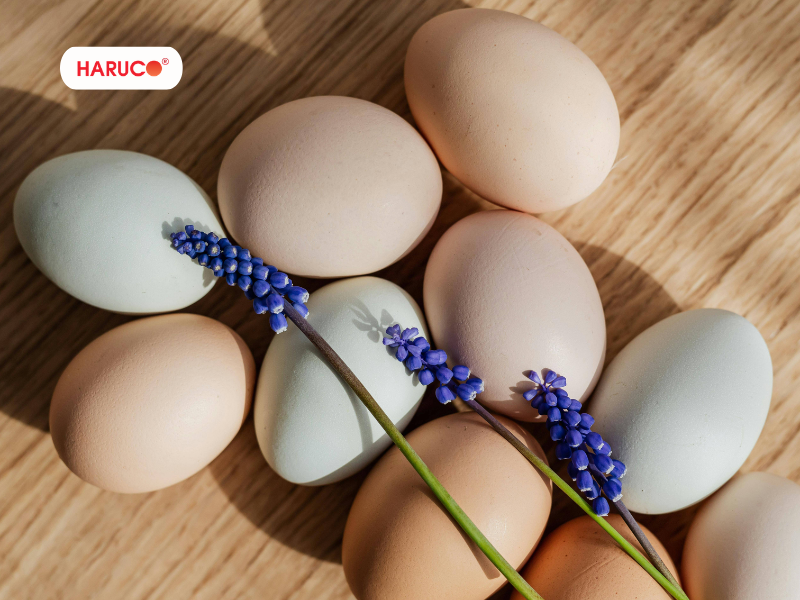 dai-bao-ve-dau-goi-haruco