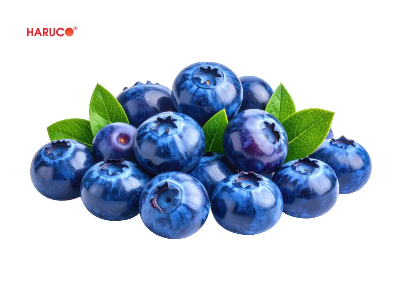 Thực phẩm chống thoái hóa xương-1