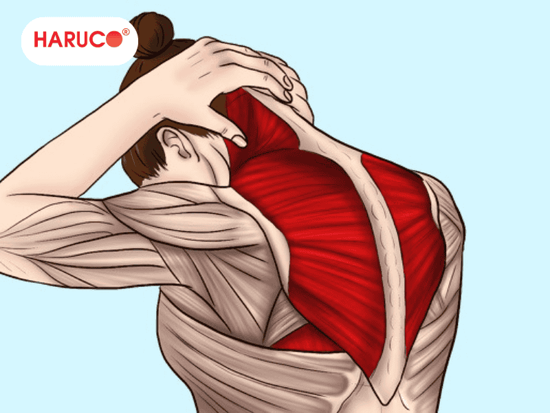 goi-massage-co-vai-gay