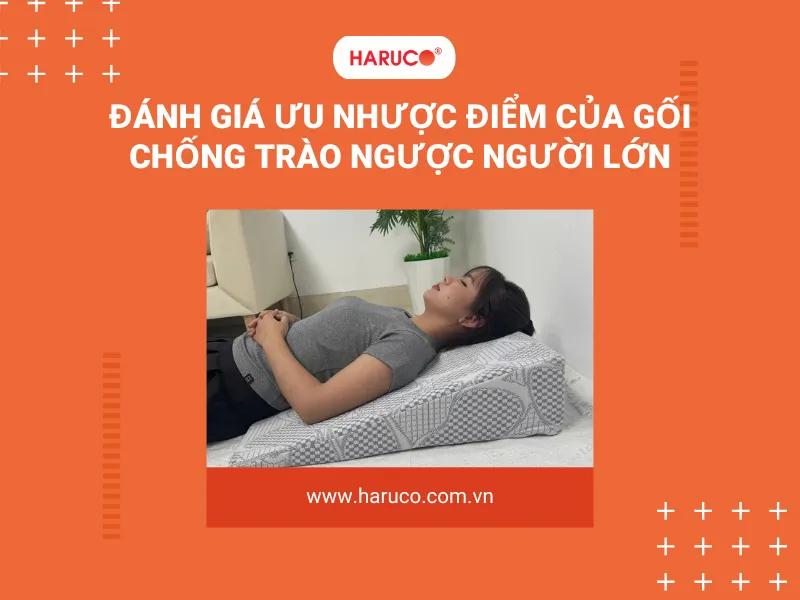 goi-chong-trao-nguoc