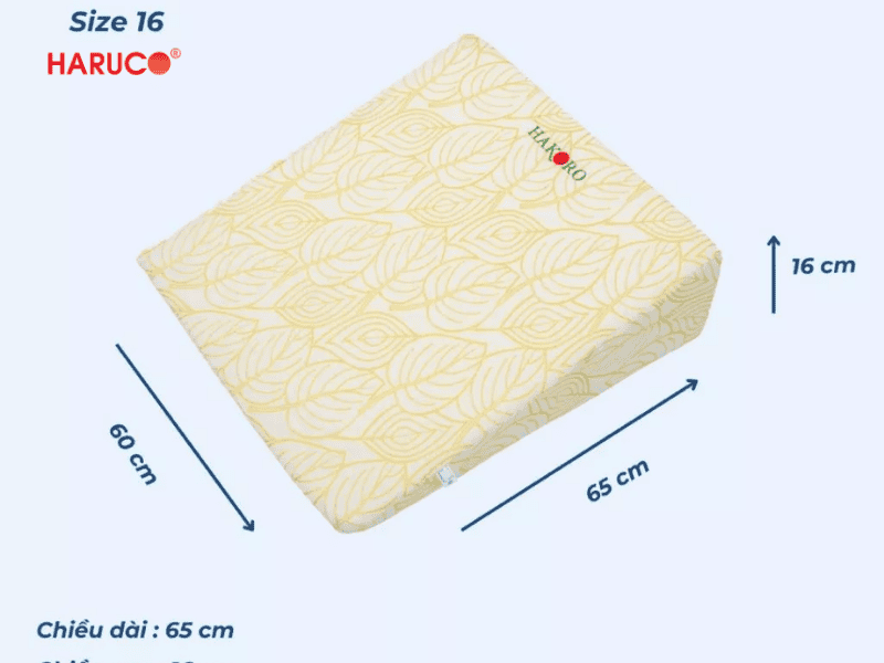 goi-chong-trao-nguoc-hakoro