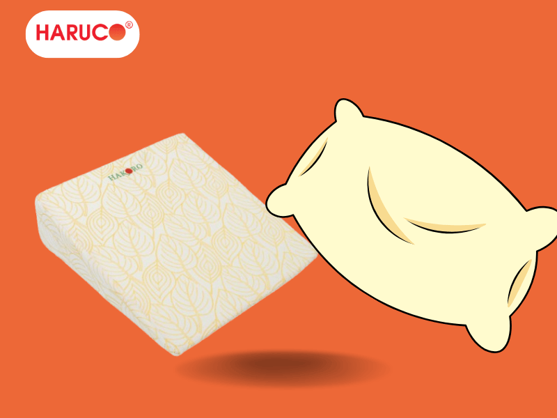 goi-chong-trao-nguoc-hakoro