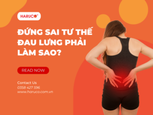 dai-lung-cot-song-haruco