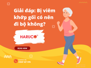 dai-bao-ve-dau-goi-haruco