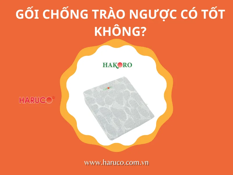 goi-chong-trao-nguoc-hakoro