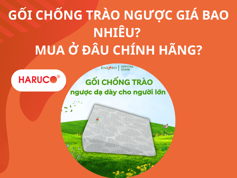 Gối chống trào ngược giá bao nhiêu? Mua ở đâu chính hãng?