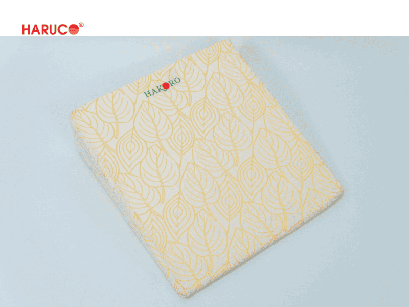 goi-chong-trao-nguoc-hakoro