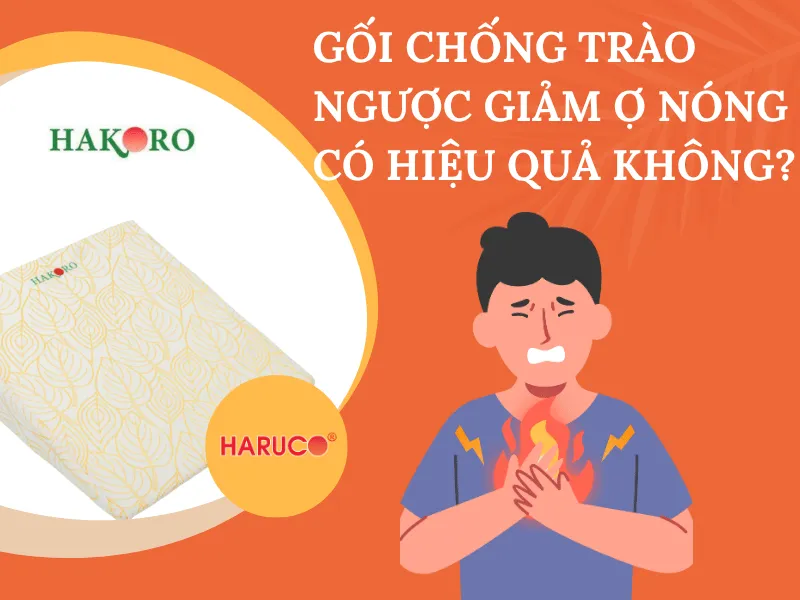 goi-chong-trao-nguoc-hakoro