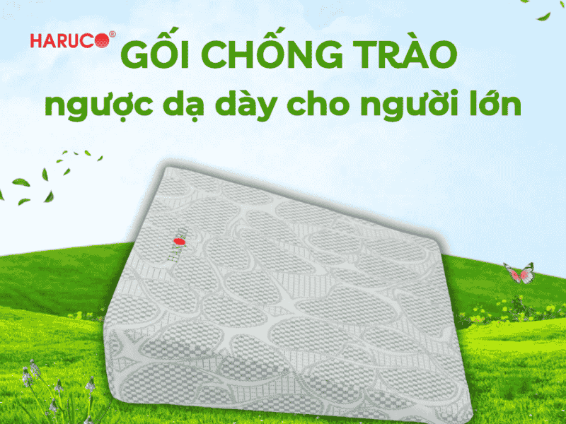 goi-chong-trao-nguoc-hakoro