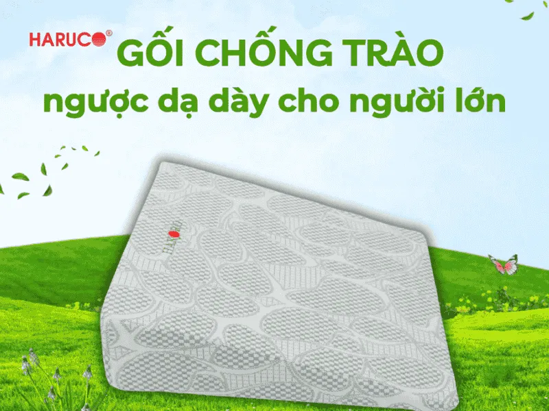 goi-chong-trao-nguoc-hakoro