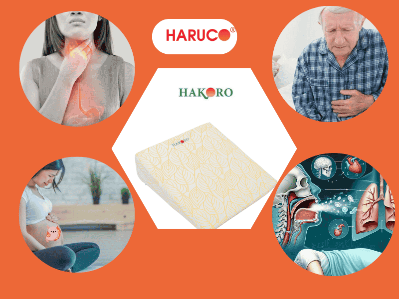 goi-chong-trao-nguoc-hakoro