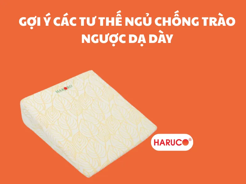 goi-chong-trao-nguoc-hakoro