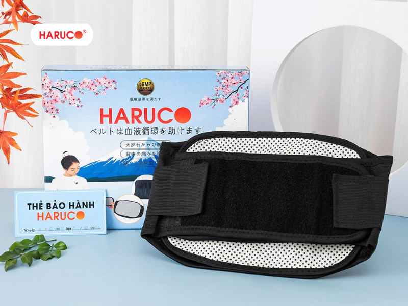 dai-lung-cot-song-haruco