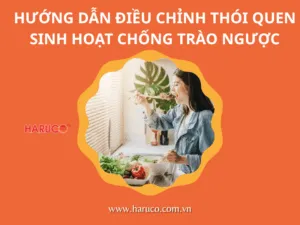 goi-chong-trao-nguoc-hakoro