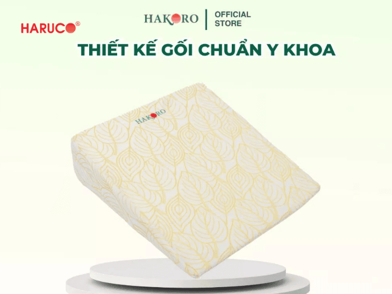 goi-chong-trao-nguoc-hakoro