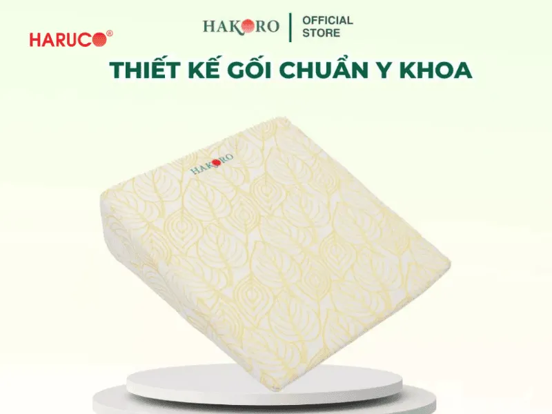 goi-chong-trao-nguoc-hakoro