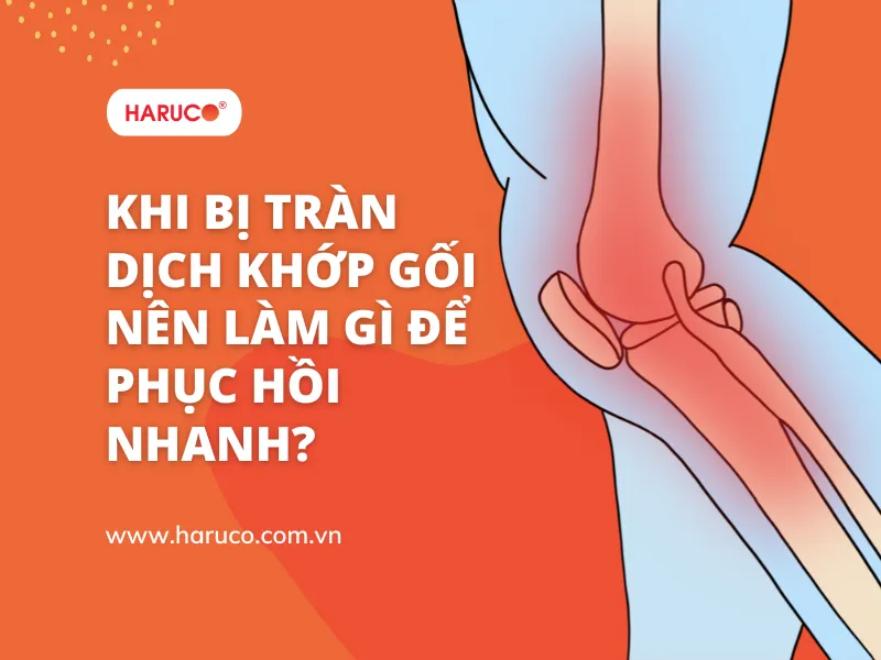 dai-bao-ve-dau-goi-haruco