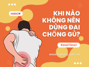 dai-lung-chong-gu-haruco