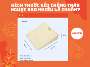 goi-chong-trao-nguoc-hakoro