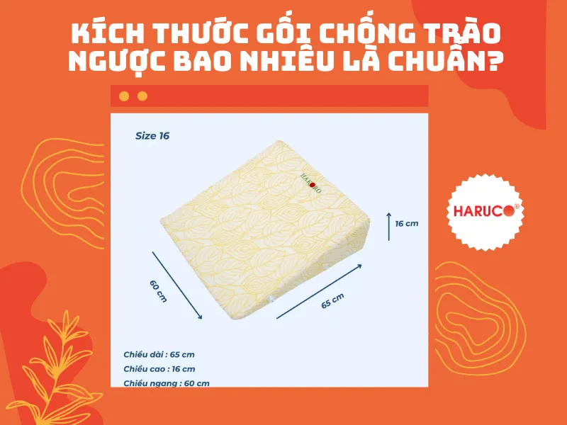 goi-chong-trao-nguoc-hakoro