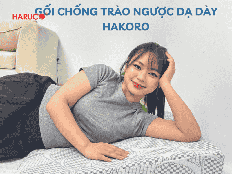 goi-chong-trao-nguoc-hakoro