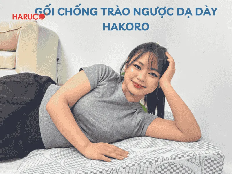 goi-chong-trao-nguoc-hakoro
