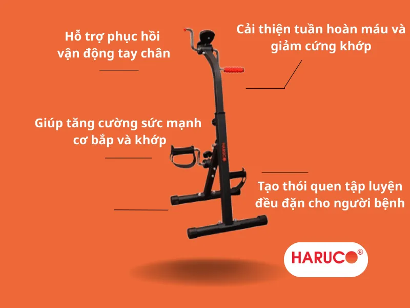 xe-dap-tap-the-duc