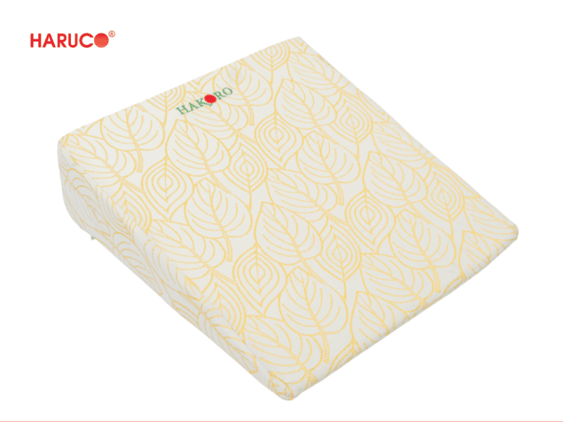 goi-chong-trao-nguoc-hakoro