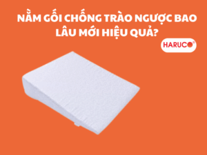 goi-chong-trao-nguoc-hakoro