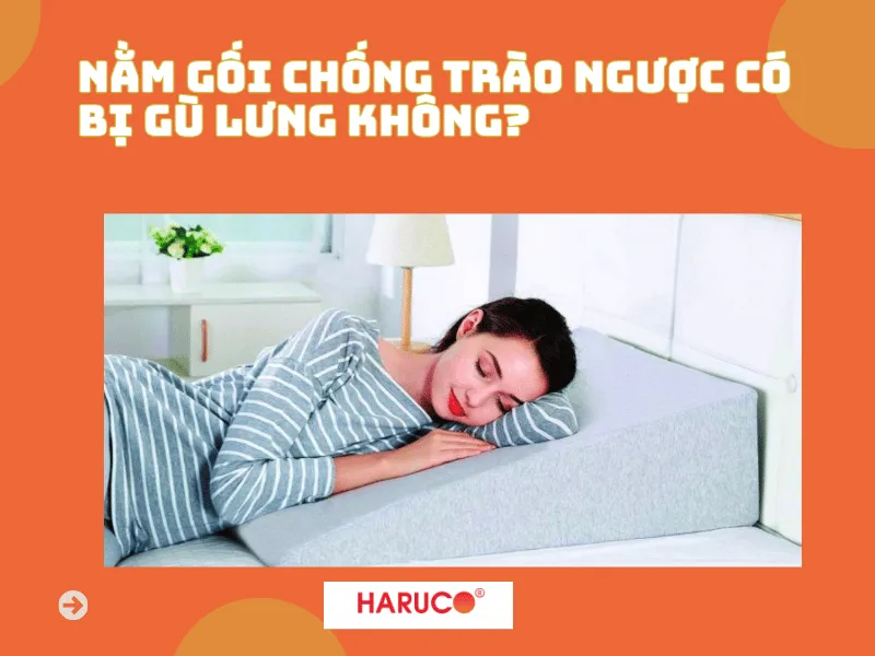 goi-chong-trao-nguoc-hakoro