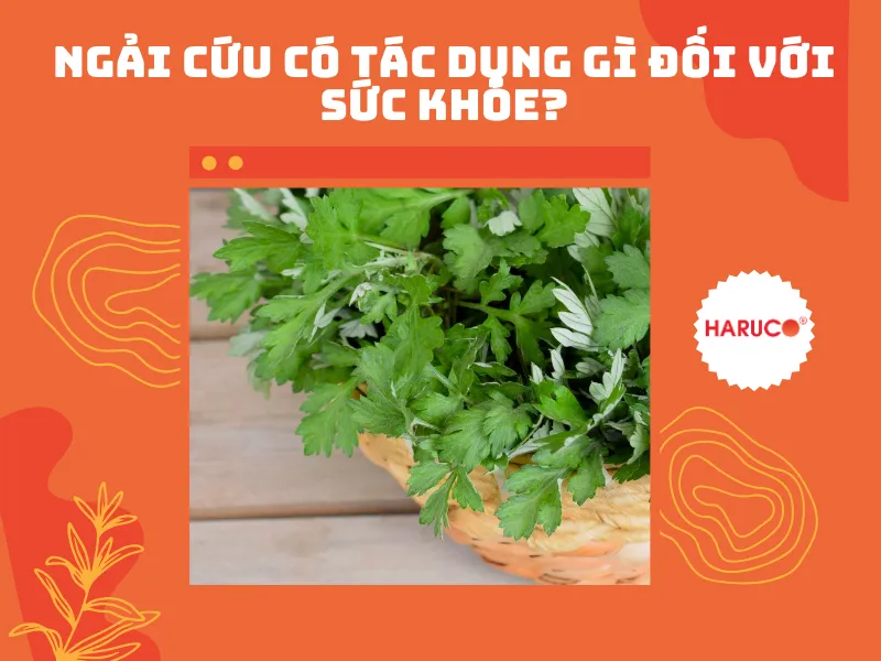 tham-ngai-cuu-dong-y