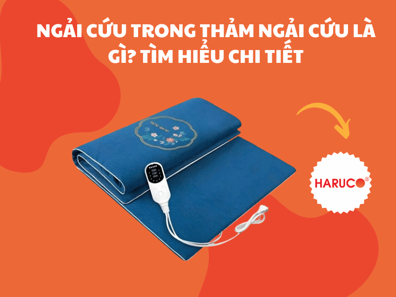 Ngải cứu trong thảm ngải cứu là gì? Tìm hiểu chi tiết