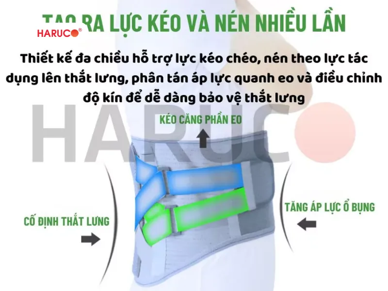 cấu tạo đai lưng cột sống - 2 